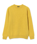 BEAMS F / シェットランド クルーネック ニット