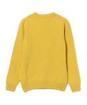 BEAMS F / シェットランド クルーネック ニット