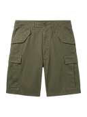 BEAMS / Big 6-Pocket Cargo Shorts